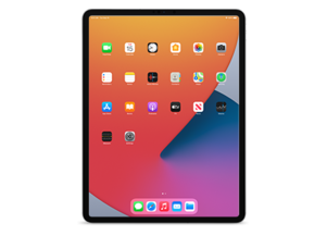 iPad Pro (12.9-inch, Cellular) (5th generation)