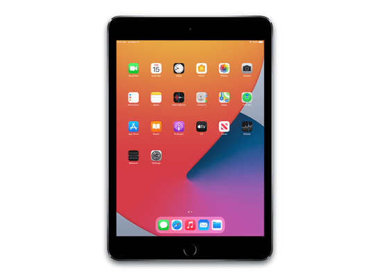 iPad Air (Cellular)